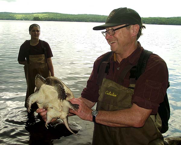 Bob Cook with young snapping turtle