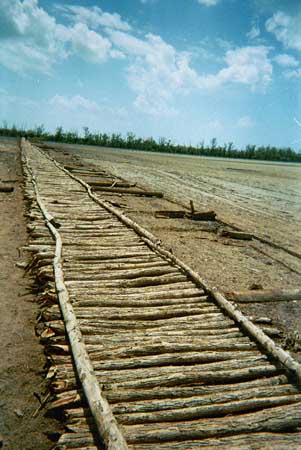 The logway to the station