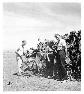 Ed, Bea, Carl, and the cactus