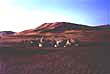 Camel train
