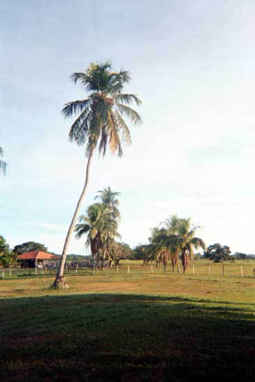 1a