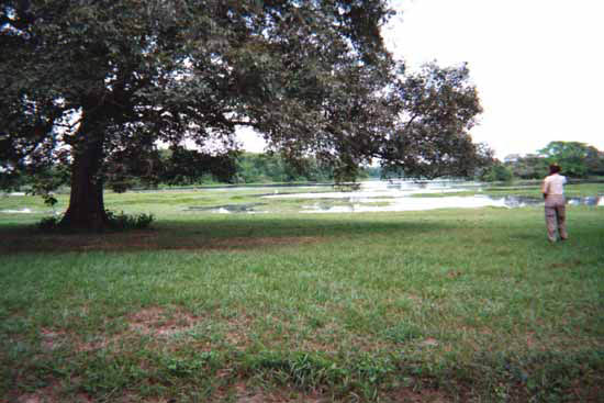 25a