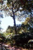 22aa